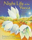 Night Life of the Yucca: The Story of a Flower and a Moth