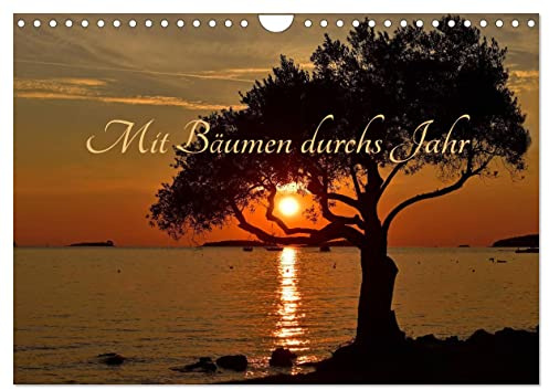 Mit Bäumen durchs Jahr (Wandkalender 2026 DIN A4 quer), CALVENDO Monatskalender: Bäume im Wechsel der Jahreszeiten (CALVENDO Natur)