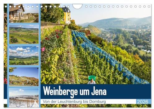 Weinberge um Jena (Wandkalender 2026 DIN A4 quer), CALVENDO Monatskalender: Der Weinanbau in der Region Jena. (CALVENDO Natur)