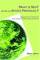 What Is Next After the Kyoto Protocol: Assessment of Options for International Climate Policy Post 2012