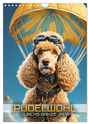 Pudelwohl durchs ganze Jahr (Wandkalender 2025 DIN A4 hoch), CALVENDO Monatskalender: Bezaubernde Bilder verschiedener Pudel in charmanten, ... abenteuerlichen Situationen (CALVENDO Tiere)