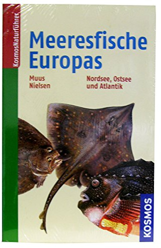 Die Meeresfische Europas: in Nordsee, Ostsee und Atlantik