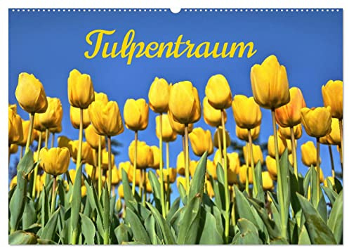 Tulpentraum (Wandkalender 2026 DIN A2 quer), CALVENDO Monatskalender: Ein farbenfroher Wandkalender rund um die beliebte Blume (CALVENDO Natur)