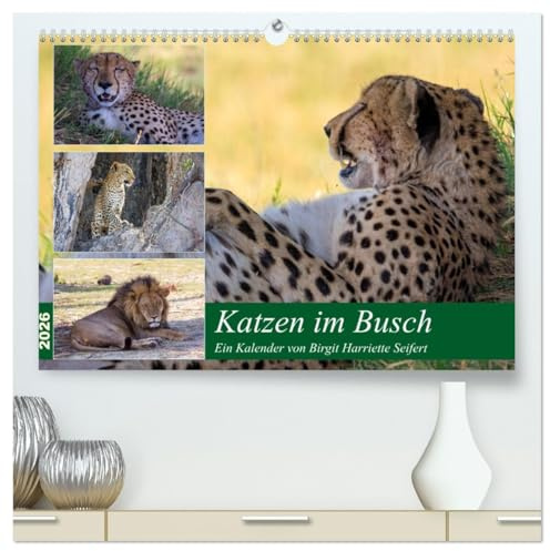 Katzen im Busch (hochwertiger Premium Wandkalender 2026 DIN A2 quer), Kunstdruck in Hochglanz: Großkatzen im Okavango Delta (CALVENDO Tiere)