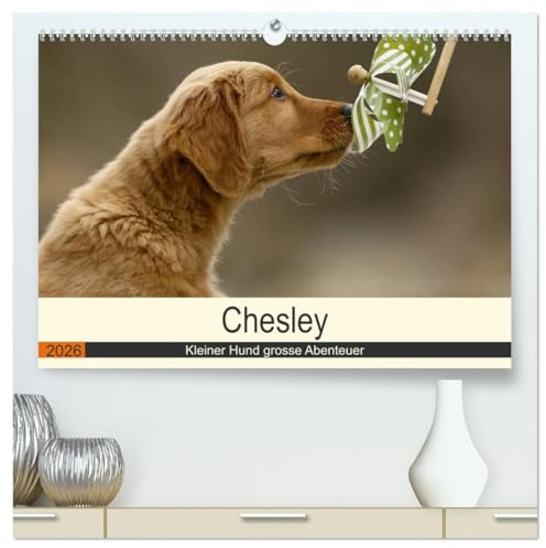 Chesley Kleiner Hund grosse Abenteuer (hochwertiger Premium Wandkalender 2026 DIN A2 quer), Kunstdruck in Hochglanz: Fröhlicher Wald und Wiesen Streifzug eines Golden Retriever Welpen (CALVENDO Tiere)