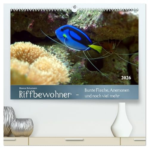 Riffbewohner - Bunte Fische, Anemonen und noch viel mehr (hochwertiger Premium Wandkalender 2026 DIN A2 quer), Kunstdruck in Hochglanz: Tropische ... an Lebewesen und Farben (CALVENDO Tiere)