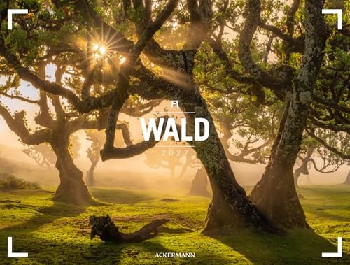 Wald Gallery Kalender 2027 | Geschmackvoller Natur-Kalender im großen Querformat (66x50 cm) | Wälder und Bäume im Großformat