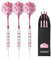 CUESOUL 3pcs/Set Steel Dartpfeile - 18 Grams - 27 Grams (22g - STBS065)