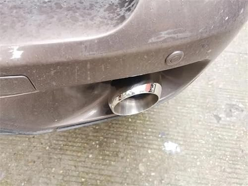 Auspuffblende Auto Für Für X5 2010 2011 2012 2013 2014 2015 2016 2017 2018 Styling 2 Stück Edelstahl Auto Schalldämpfer Endrohr Auspuffspitzen Schalldampf Endrohr (Farbe : Silber)