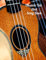 Ukulele Tab And Song Book: Blank Ukulele Tab With Notebook for Songwriting 8.5 x 11 inch