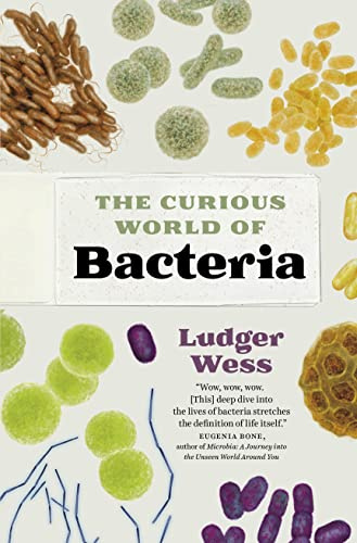 The Curious World of Bacteria: A Curious Collection from a Microscopic World