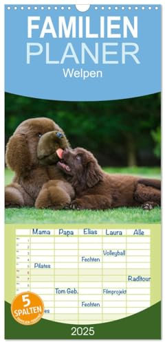 Familienplaner 2025 - Welpen 2025 mit 5 Spalten (Wandkalender, 21 cm x 45 cm), CALVENDO: 13 bezaubernde Welpenfotos begleiten uns durch das Jahr 2014 (CALVENDO Tiere)