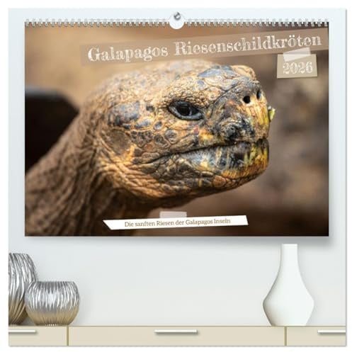 Die Riesenschildkröten der Galapagos Inseln (hochwertiger Premium Wandkalender 2026 DIN A2 quer), Kunstdruck in Hochglanz: Erlebe die beeindruckende ... Inseln ihr Zuhause nennen. (CALVENDO Orte)