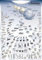 The Evolution of Animals: Poster and Explanation (Senkenberg-Poster)