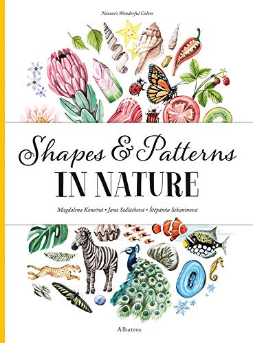 Shapes and Patterns in Nature (Nature's Wonderful Colors, 3)