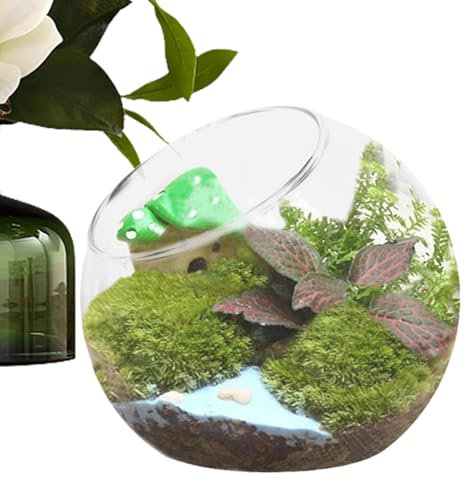 Pflanzer-Terrarien - Fischschalen-Vase,Runder Terrarienbehälter aus Glas | Glaspflanzenterrarium, Display Herzstück Terrarium Glas, Glas Luftpflanzenhalter Tank für Wohnzimmer, Esstisch, Schlafzimmer