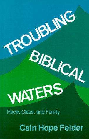Troubling Biblical Waters: Race, Class and Family: 3 (Bishop Henry McNeal Turner Studies in North American Black R)