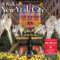 A Walk in New York City 2023 Wall Calendar