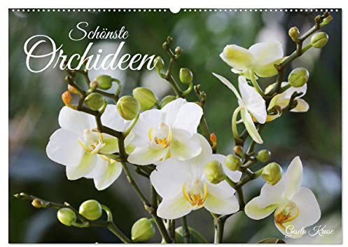 Schönste Orchideen (Wandkalender 2026 DIN A2 quer), CALVENDO Monatskalender: Fantastische Orchideenblüten, gelungen in Szene gesetzt (CALVENDO Natur)