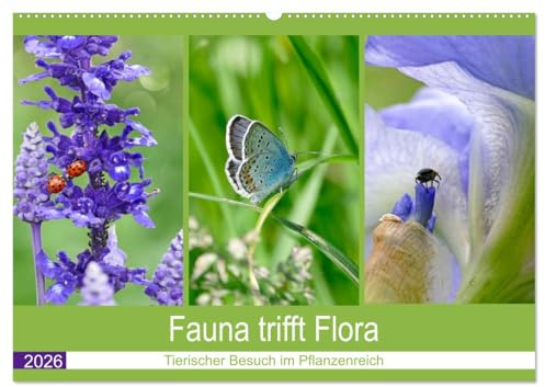 Fauna trifft Flora - Tierischer Besuch im Pflanzenreich (Wandkalender 2026 DIN A2 quer), CALVENDO Monatskalender: Pflanzenimpressionen mit tierischen Gästen (CALVENDO Natur)