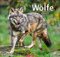 Wölfe Kalender 2025: Tierkalender mit Wolf-Fotos vom bekannten Fotografenpaar Jean-Louis Klein und Marie-Luce Hubert. Foto-Wandkalender mit ... 48x46 cm (Tierkalender Weingarten)
