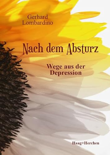 Nach dem Absturz: Wege aus der Depression