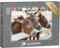 puzzleYOU: Puzzle 1000 Teile „DREI neugierige Esel am Zaun“