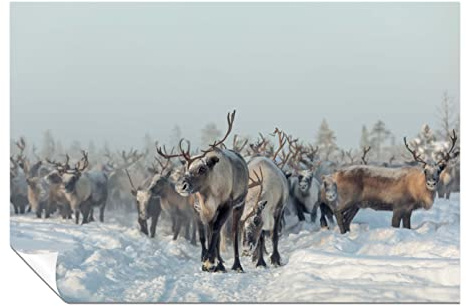 Panther Print Fine Art Prints Reindeers in Winter Snow Artistic Unframed Poster, Pictures for Home Walls, Bedroom, Living Room & Bathroom Decor 61x41cm (24x16in)
