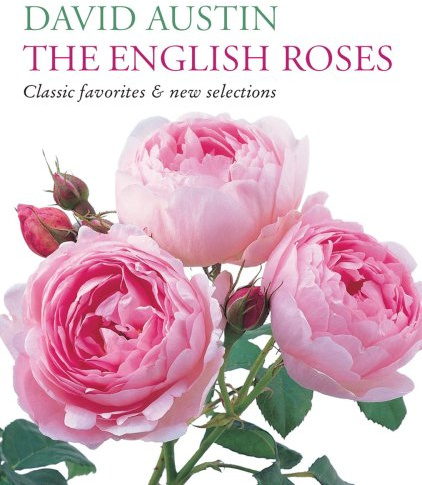 The English Roses: Classic Favorites and New Selections