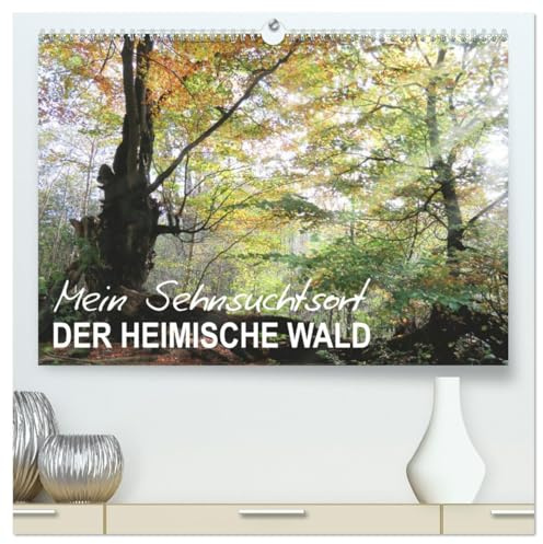 Mein Sehnsuchtsort, der heimische Wald (hochwertiger Premium Wandkalender 2026 DIN A2 quer), Kunstdruck in Hochglanz: Zauberhafte Naturfotografie im Wald (CALVENDO Natur)