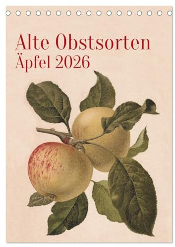 Alte Obstsorten - Äpfel 2026 (Tischkalender 2026 DIN A5 hoch), CALVENDO Monatskalender: Alte Obstsorten werden in historischen Farblithographien ... im eigenen Garten. (CALVENDO Kunst)