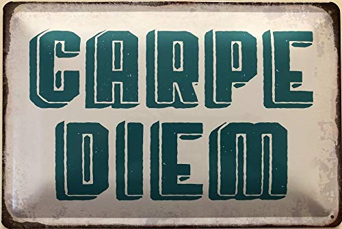 Deko7 Blechschild 30 x 20 cm Spruch: Carpe Diem