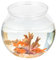 Kugelaquarium Kunststoff, Goldfischglas Klar, 26x26x22.5 cm Klarsichtbehälter Für Aquarien, Anti-Drop-goldfischglas Klaress Terrarienglas Schüsselvase, Leicht Zu Reinigen, Wohnungsdekoration