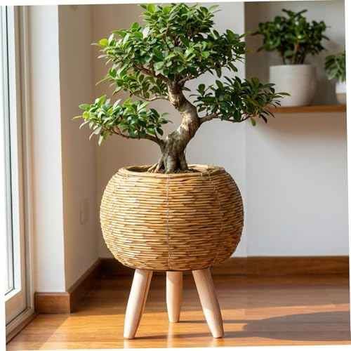 Latemeia Support pour Plantes en Osier, Style bohème en rotin avec Pieds en Bois pour Plantes d'intérieur, Panier Marron Clair pour décoration de Maison, Bureau, café, rotin, bohème