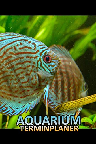 Aquarium Terminplaner: Aquaristik Diskus fisch Terminkalender Notizbuch für Mann und seinem Hobby Freizeit