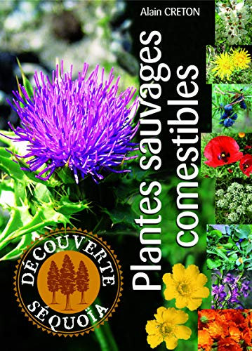 Plantes sauvages comestibles