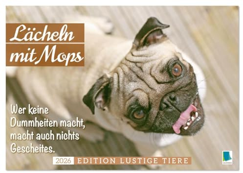 Lächeln mit Mops (Tischkalender 2026 DIN A5 quer), CALVENDO Monatskalender: Heiter bis mopsig: ein Sprüchekalender gegen Perfektionismus und Selbstoptimierung (CALVENDO Spass)