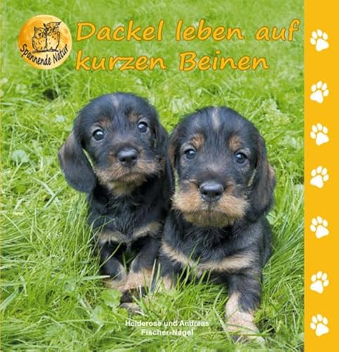 Dackel leben auf kurzen Beinen (Spannende Natur)