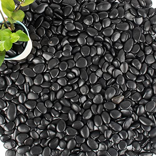 Anothera 8,2 kg große schwarze kleine Kieselsteine 2,5 cm Größe Aquarium Kies Outdoor Fluss Felsen Garten Pflastersteine Indoor Pflanze Kies Dekorative Steine