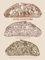 Super Sourdough: The foolproof guide to making world-class bread at home (includes easy-to-follow guide to sourdough starters and dough for home baking)
