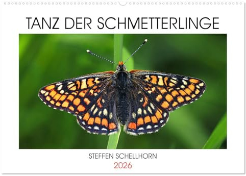 TANZ DER SCHMETTERLINGE (Wandkalender 2026 DIN A2 quer), CALVENDO Monatskalender: Atemberaubende Tagfalterfotos des Fotografen Steffen Schellhorn (CALVENDO Tiere)