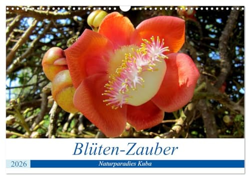 Blüten-Zauber - Naturparadies Kuba (Wandkalender 2026 DIN A3 quer), CALVENDO Monatskalender: Blühende Bäume und exotische Blumen auf Kuba (CALVENDO Natur)