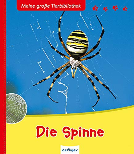 Meine große Tierbibliothek: Die Spinne