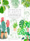 Tout savoir sur mes plantes d'intérieur