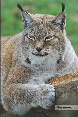 Lynx Notebook: Unique Christmas Journal, Notebook for a gift (Blank pages with lynx inside) great for kids, boys, girls, to writing notes, drawing, ... lists, organizing and braindstorming.