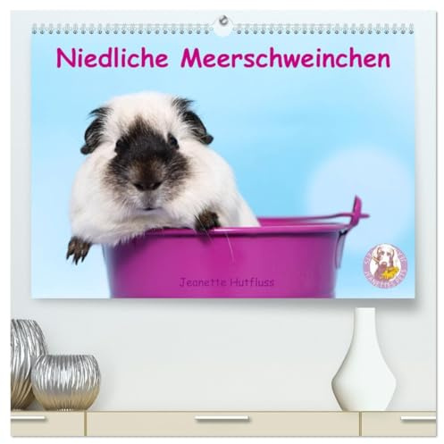 Niedliche Meerschweinchen (hochwertiger Premium Wandkalender 2026 DIN A2 quer), Kunstdruck in Hochglanz: Jeden Monat ein anderes drolliges Kerlchen (CALVENDO Tiere)