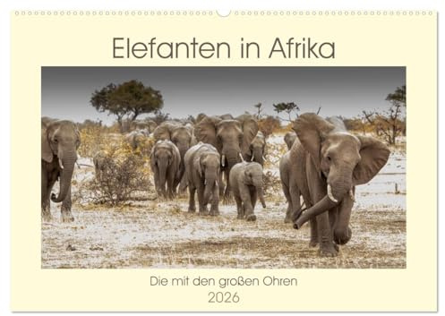 Elefanten in Afrika - Die mit den großen Ohren (Wandkalender 2026 DIN A2 quer), CALVENDO Monatskalender: Imponierende Geschöpfe mit ausgeprägtem Familiensinn (CALVENDO Tiere)