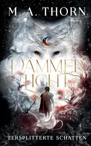 Dämmerlicht: Zersplitterte Schatten (Drayke-Saga)
