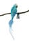 Birds of Glass® Glas-Vogel, Wellensittich hellblau/türkis mit Naturfeder, Glasschmuck Made in Germany, eigene Herstellung, deko Vogel mit Clip, echter Lauschaer Christbaumschmuck, für Innenbereich
