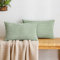 EMEMA Kordsamt Kissenbezug Granulat Dekorative Sofakissen Dekokissen Kissenbezüge Couchkissen Kissenhülle Weich Kissen Bezug Zierkissen für Sofa Couch Wohnzimmer 2er Set 40x60 cm Bohnengrün